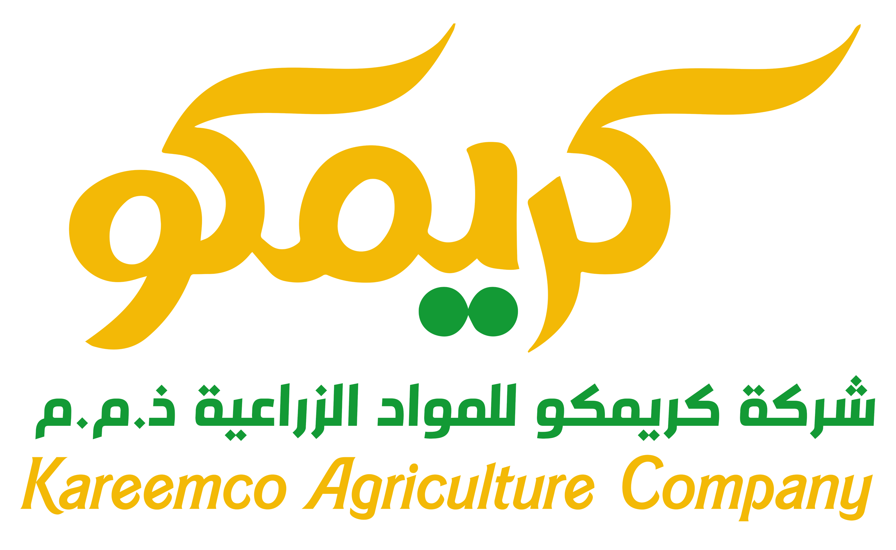 Kareemco logo